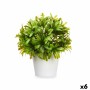 Plante décorative Plastique 17 x 17 cm (6 Unités)