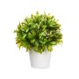 Plante décorative Plastique 17 x 17 cm (6 Unités)