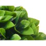 Decorative Plant Plastic (6 Units)