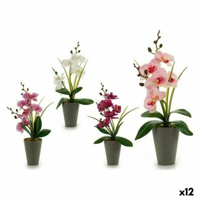 Plante décorative Orchidée Plastique 8 x 35 x 14 cm (12 Unités)