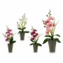 Plante décorative Orchidée Plastique 8 x 35 x 14 cm (12 Unités)