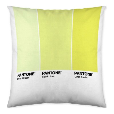 Housse de coussin Ombre C Pantone Localization_B086JQZYZH Réversible 50 x 50 cm