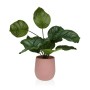 Decorative Plant Versa 15 x 44 x 15 Cement Plastic