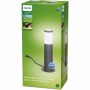 Lamp Philips Grey 12 V Soft green 600 lm (1 Unit)