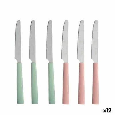 Ensemble de Couteaux Vert Rose Argenté Acier inoxydable Plastique (12 Unités)