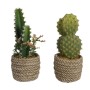 Plante décorative EDM 808447 Cactus 28 cm