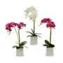 Decorative Plant Orchid 18 x 47 x 14 cm Plastic (6 Units)