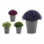 Decorative Plant Plastic 14 x 15 x 14 cm (12 Units)