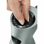 Hand-held Blender BOSCH MSM67170 Black Silver 750 W