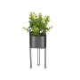 Decorative Plant Eucalyptus Metal Plastic 14 x 40 x 14 cm (8 Units)