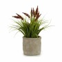 Plante décorative Epis Plastique 12 x 30 x 12 cm (8 Unités)