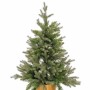 Sapin de Noël Vert Doré Polyéthylène 58 x 58 x 90 cm