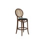 Stool DKD Home Decor Green Dark brown Rattan Elm wood 43 x 43 x 108 cm