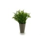 Pot Vert Plastique 13 x 25 x 13 cm