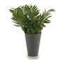 Pot Vert Plastique 13 x 25 x 13 cm