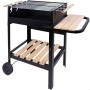 Coal Barbecue with Wheels Aktive Enamelled Metal 100,5 x 88,5 x 40 cm Black