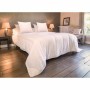 Duvet Blanreve 300 g/m² 240 x 260 cm