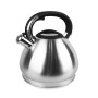 Kettle Feel Maestro MR-1319 Black Silver Stainless steel Plastic 4,3 L