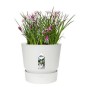 Plant pot Elho Greenville Circular White Plastic (Ø 29,5 x 27,8 cm)