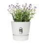 Pot Elho Greenville Ronde Blanc Plastique (Ø 29,5 x 27,8 cm)