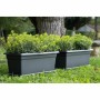 Pot Stefanplast Mediterráneo Anthracite Plastique 100 cm