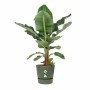 Plant pot Elho Green Ø 55 cm Plastic