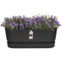 Jardinière Elho   Noir 50 cm Plastique Ovale