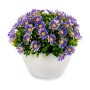 Plante décorative Marguerite Plastique 14 x 13 x 14 cm (12 Unités)