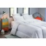 Remplissage de couette Blanc Anti-mites 400 g /m² 220 x 240 cm