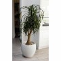 Plant pot EDA Graphit Circular White Ø 50 cm