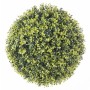 Decorative Plant   Ball Spring 40 x 40 x 40 cm