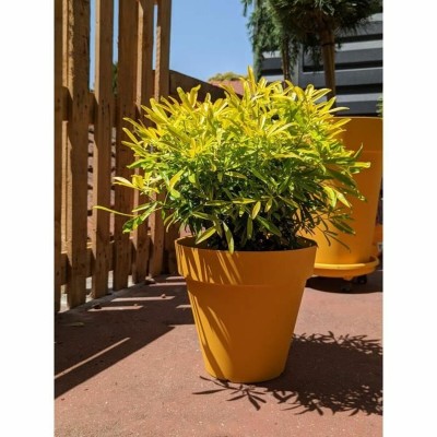 Pot Riviera Jaune Ø 60 cm