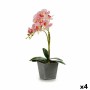 Plante décorative Orchidée Plastique 20 x 47 x 33 cm (4 Unités)