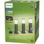 Lampe Philips Gris 220-240 V Vert tendre 600 lm