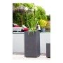 Pot EDA Graphit Gris Gris foncé Plastique Carré 39,5 x 39,5 x 80 cm