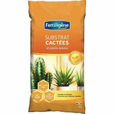 Plant fertiliser Fertiligène 6 L