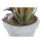 Plante décorative DKD Home Decor Rouge Gris Orange EVA PE (16 x 12,5 x 19,5 cm) (2 Unités)