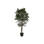 Tree Home ESPRIT Polyethylene Fig Tree 100 x 100 x 210 cm