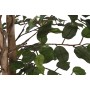 Tree Home ESPRIT Polyethylene Fig Tree 100 x 100 x 210 cm