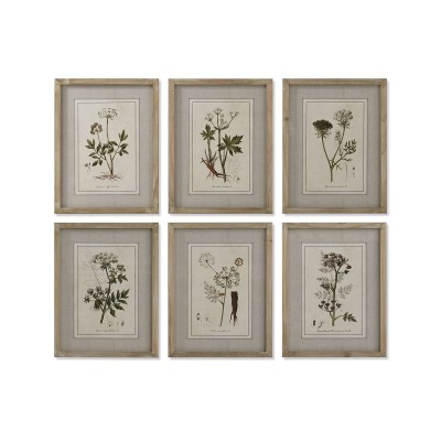 Cadre Home ESPRIT Shabby Chic Plantes botaniques 30 x 2 x 40 cm (6 Unités)