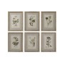 Cadre Home ESPRIT Shabby Chic Plantes botaniques 30 x 2 x 40 cm (6 Unités)