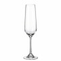 Coupe de champagne Bohemia Crystal Sira 200 ml champagne 6 Pièces (6 Unités) (4 Unités)