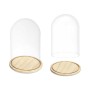 Decorative Figure Dome Transparent Natural 22 x 30 x 22 cm