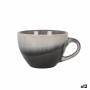Cup Santa Clara Mondariz 425 ml (12 Units)