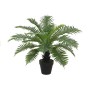 Plante décorative Home ESPRIT PVC Fougère 80 x 80 x 60 cm