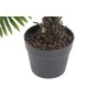 Plante décorative Home ESPRIT PVC Fougère 80 x 80 x 60 cm