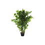 Decorative Plant DKD Home Decor 50 x 50 x 90 cm Metal Polyethylene Green 30 x 40 cm Fig Tree Urban