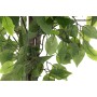 Decorative Plant DKD Home Decor 50 x 50 x 90 cm Metal Polyethylene Green 30 x 40 cm Fig Tree Urban