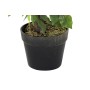 Decorative Plant DKD Home Decor 50 x 50 x 90 cm Metal Polyethylene Green 30 x 40 cm Fig Tree Urban
