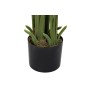 Decorative Plant DKD Home Decor Palms Green PE (50 x 50 x 180 cm)